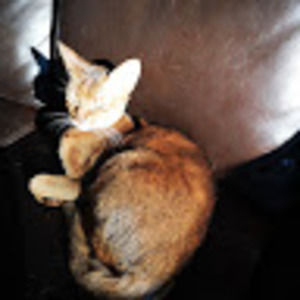 Meet your Posher, Julie